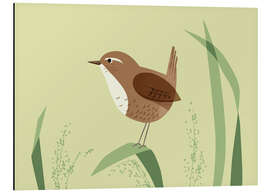 Magnettafel Zaunkönig