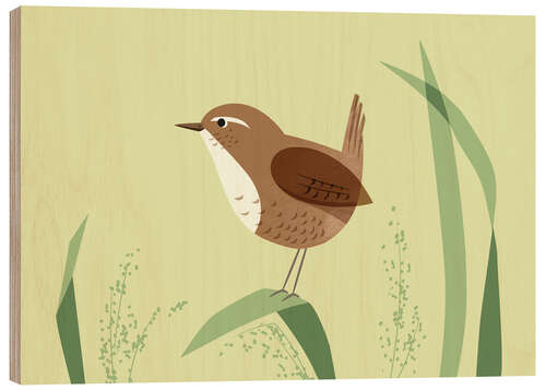Tableau en bois Troglodyte mignon