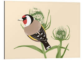 Magnettafel Stieglitz