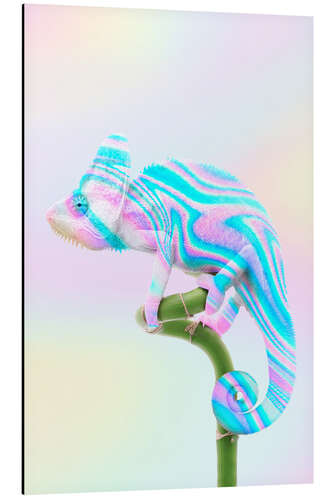 Aluminiumsbilde Holographic Chameleon