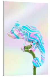 Gallery print Holographic chameleon