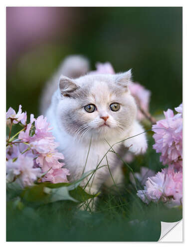 Vinilo para la pared Gatito en un prado de flores