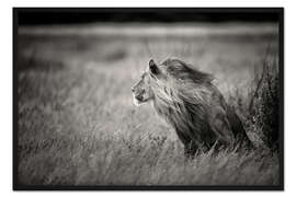 Gerahmter Kunstdruck Gegen den Wind