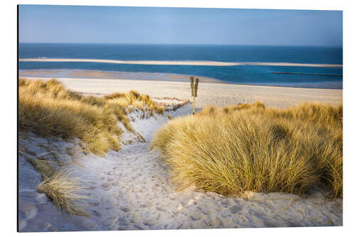 Cuadro de aluminio Duna paisaje en Sylt