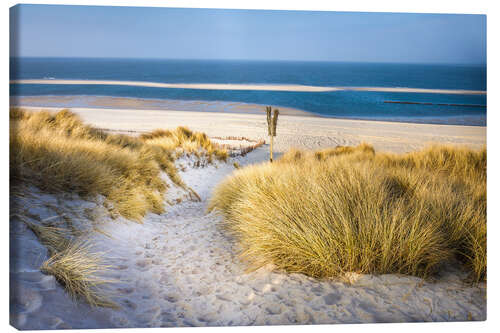 Leinwandbild Dünenlandschaft auf Sylt