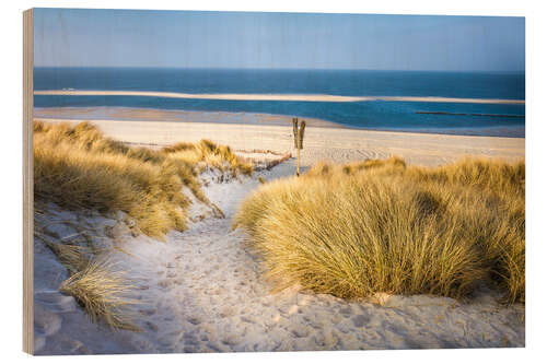 Wood print Dune landscape on Sylt