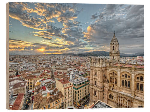 Puutaulu Malaga City View