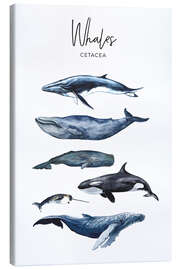Stampa su tela  Whales - Art Couture