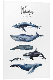 Foam board print Whales