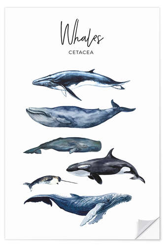 Sisustustarra Whales