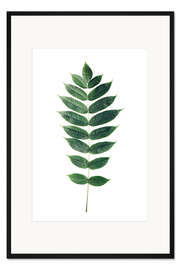 Gerahmter Kunstdruck Grünes Blatt
