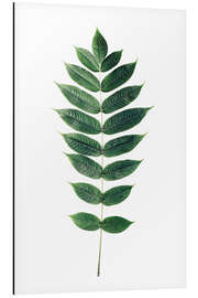 Magnettafel Grünes Blatt