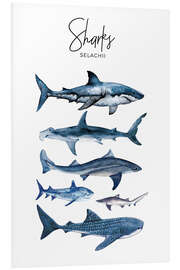 Tableau en PVC Requins