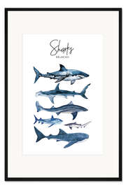 Gerahmter Kunstdruck Haie