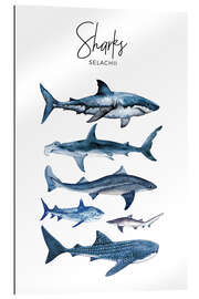 Gallery print Sharks