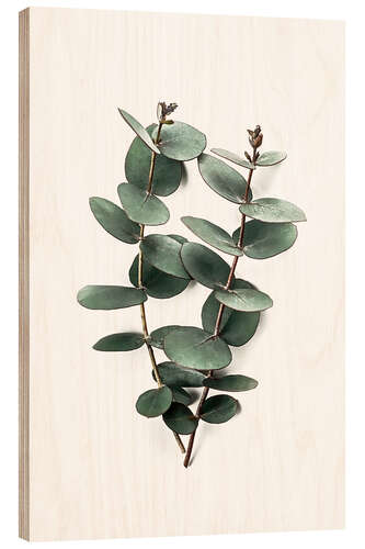 Hout print Eucalyptus