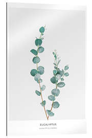 Galleriprint Eucalyptus