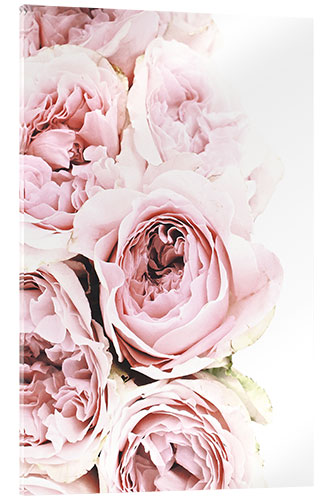 Obraz na szkle akrylowym Pink Peonies