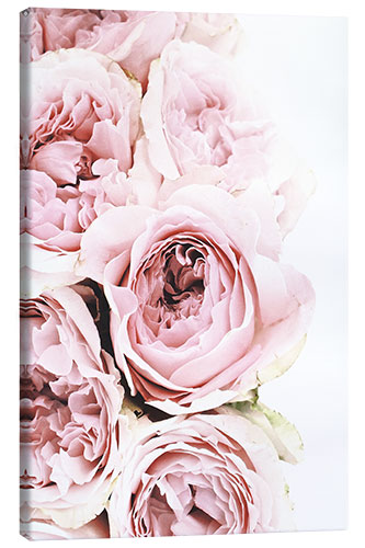 Canvas print Pink Peonies