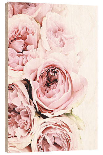 Trebilde Pink pahonia
