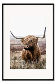 Gerahmter Kunstdruck Braunes Hochlandrind