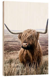 Wood print  Brown Highland Cattle - Art Couture