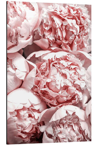 Aluminium print Pink Peonies