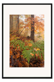 Gerahmter Kunstdruck Wald im Herbst