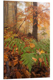 Magnettafel Wald im Herbst