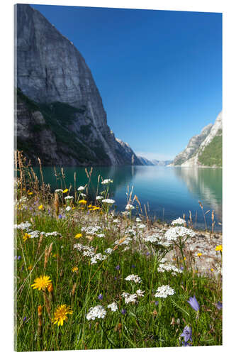 Cuadro de metacrilato Fiordo en noruega