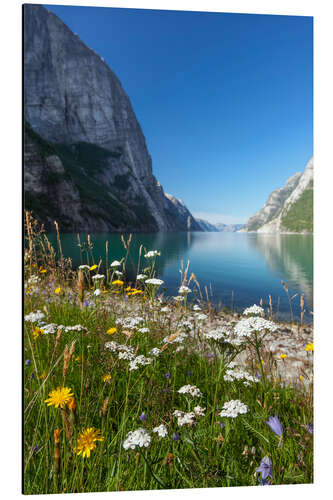 Aluminiumsbilde Vårstemning ved fjorden