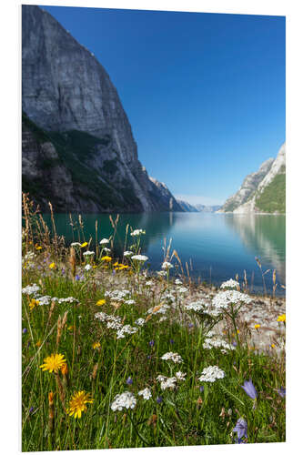 Hartschaumbild Fjord in Norwegen