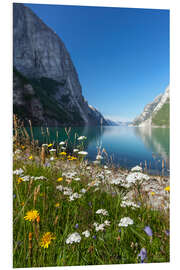 Foam board print Fjord in Norway