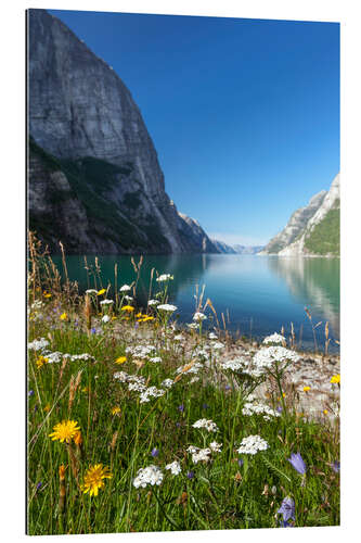 Tableau en plexi-alu Fjord en Norvège