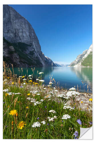 Naklejka na ścianę Fjord in Norway