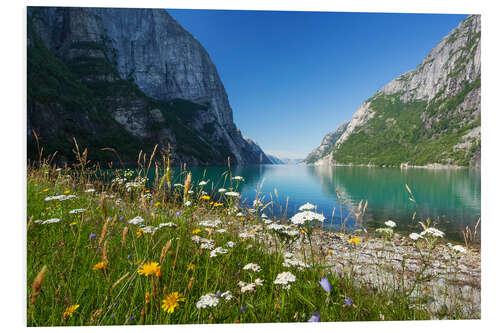 Foam board print Spring in Norway