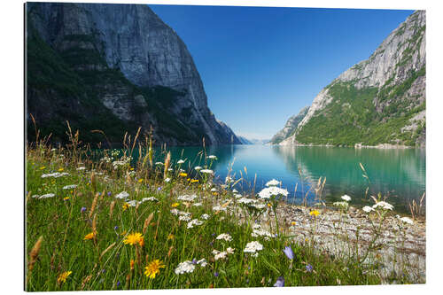 Gallery Print Frühling in Norwegen