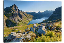 Galleritryk Summer at the fjord