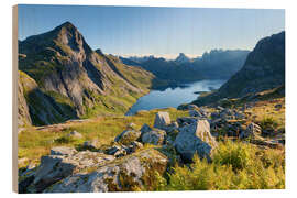 Hout print Summer at the fjord