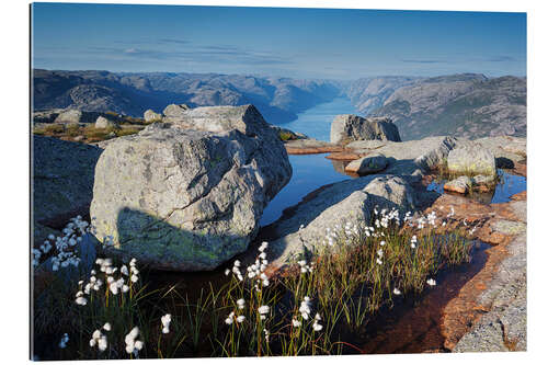 Gallery print Summer at Lysefjord, Norway