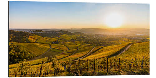 Alubild Weinberge im Herbst