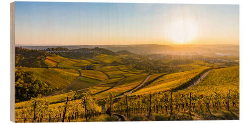 Tableau en bois Vignobles en automne