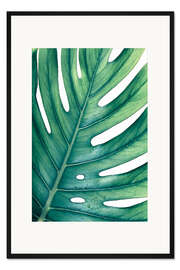 Gerahmter Kunstdruck Grüne Monstera