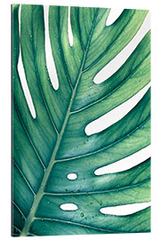 Gallery print Green Monstera