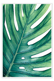 Poster  Green Monstera - Art Couture