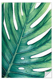 Sticker mural Monstera verte