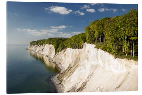 Akrylbillede Chalk cliffs in spring