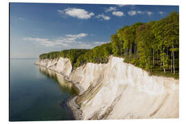 Tableau en aluminium Falaises de craie au printemps