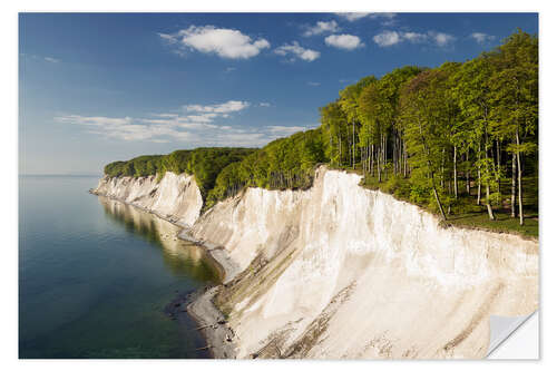 Selvklebende plakat Chalk cliffs in spring