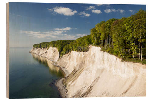 Wood print Chalk cliffs in spring